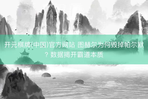 开元棋牌(中国)官方网站 图赫尔为何毁掉帕尔默? 数据揭开霸道本质