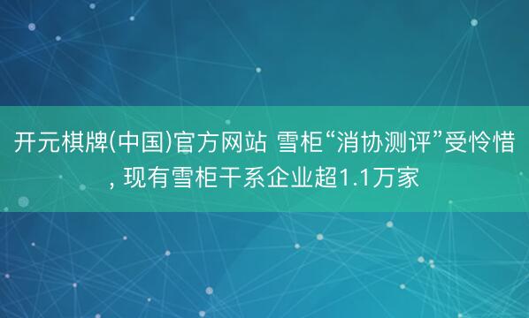 开元棋牌(中国)官方网站 雪柜“消协测评”受怜惜， 现有雪柜干系企业超1.1万家