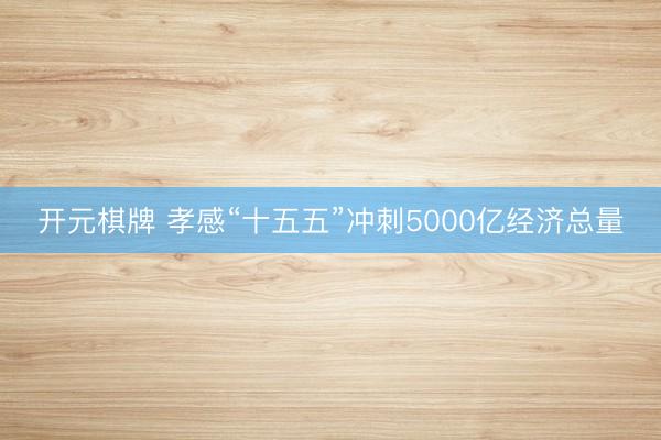 开元棋牌 孝感“十五五”冲刺5000亿经济总量